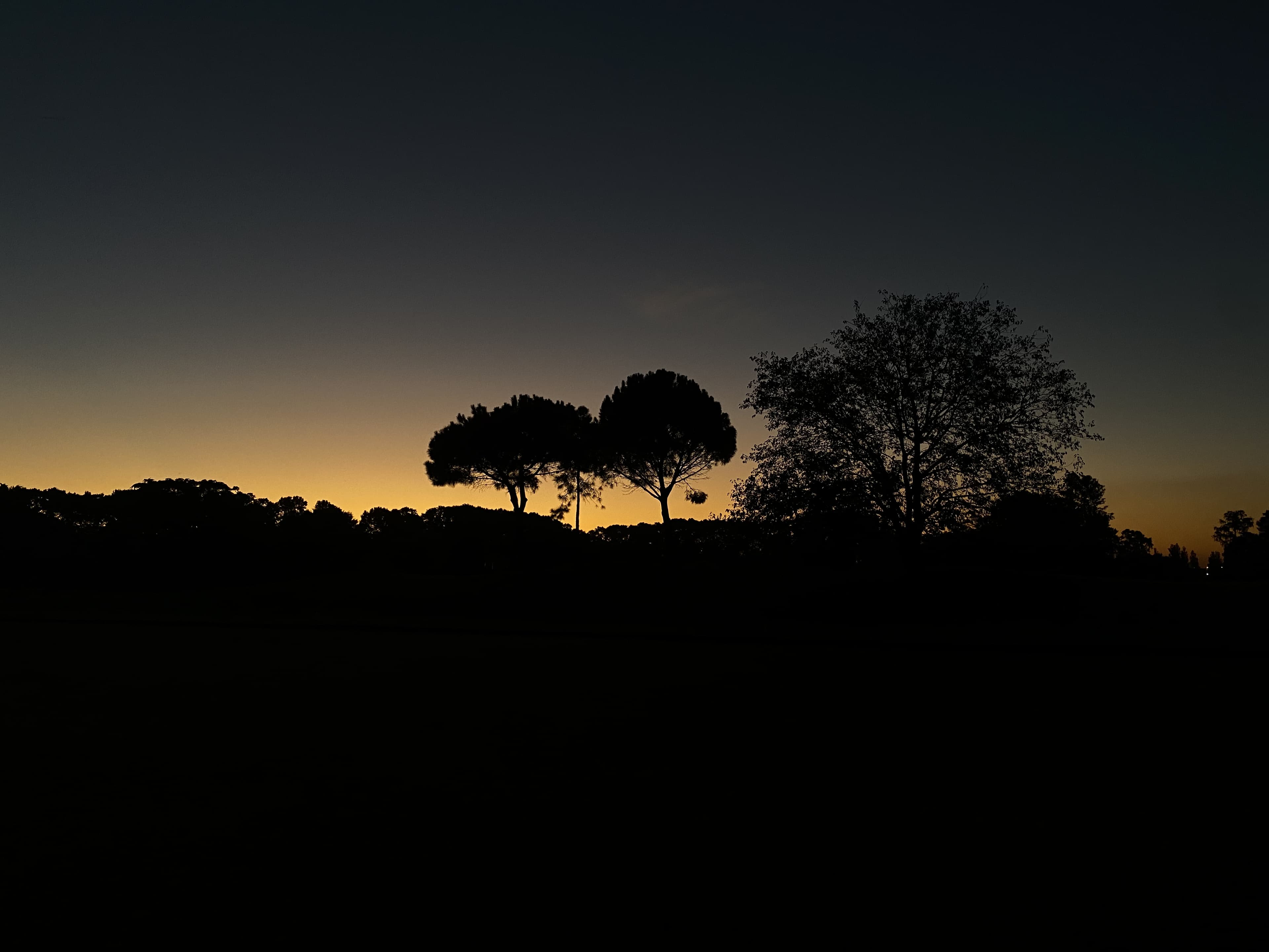 Buenos Aires - IMG_1391